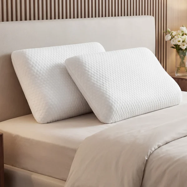 2-pieces Cooling Bed Pillow with Washable Cover